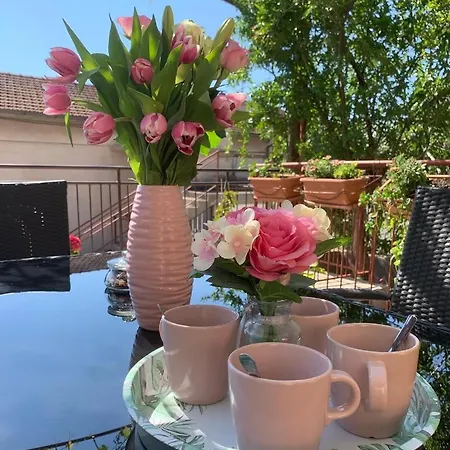 Apartament Sladja Szybenik