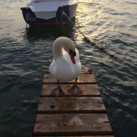 Sladja * Sibenik